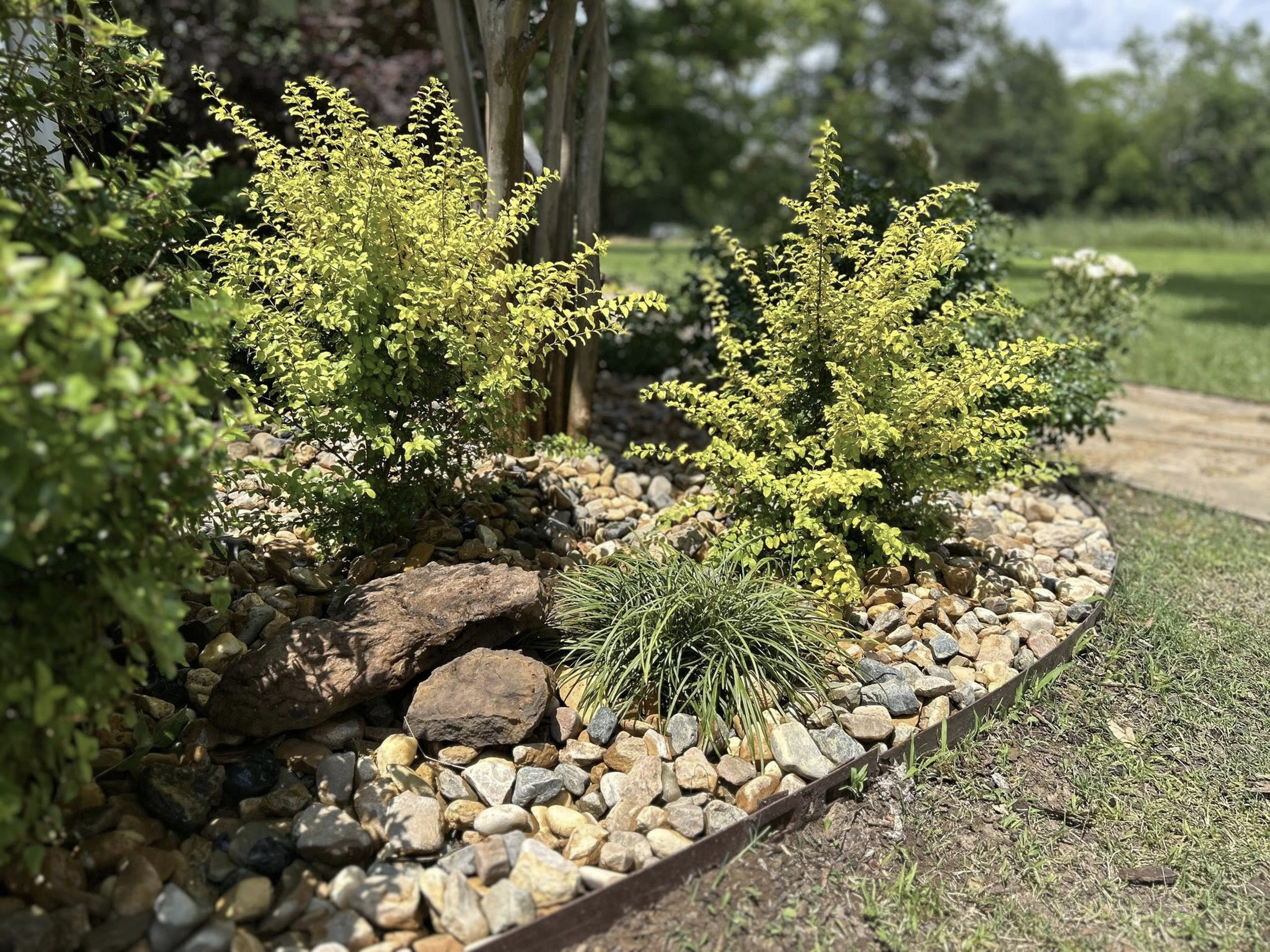 Decorative rock landscaping with trimmed shrubs and greenery by Hood Lawn Care